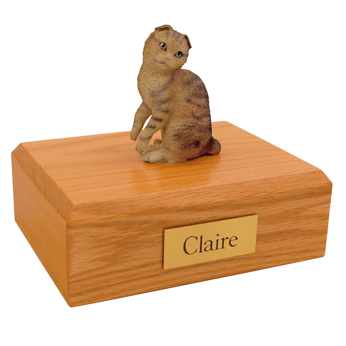 Cat, Scottish Fold, Brown Tabby - Figurine Urn